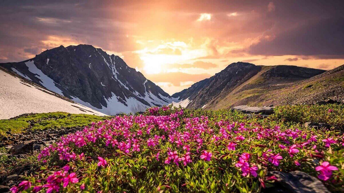Valley of Flowers Trek trek package from Dehradun