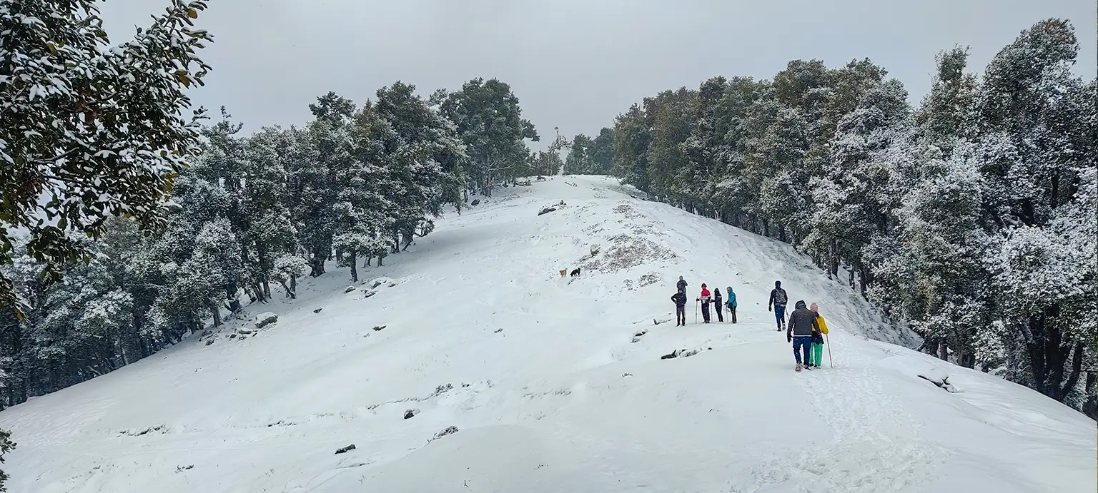 Nag Tibba Trek trek package from Dehradun